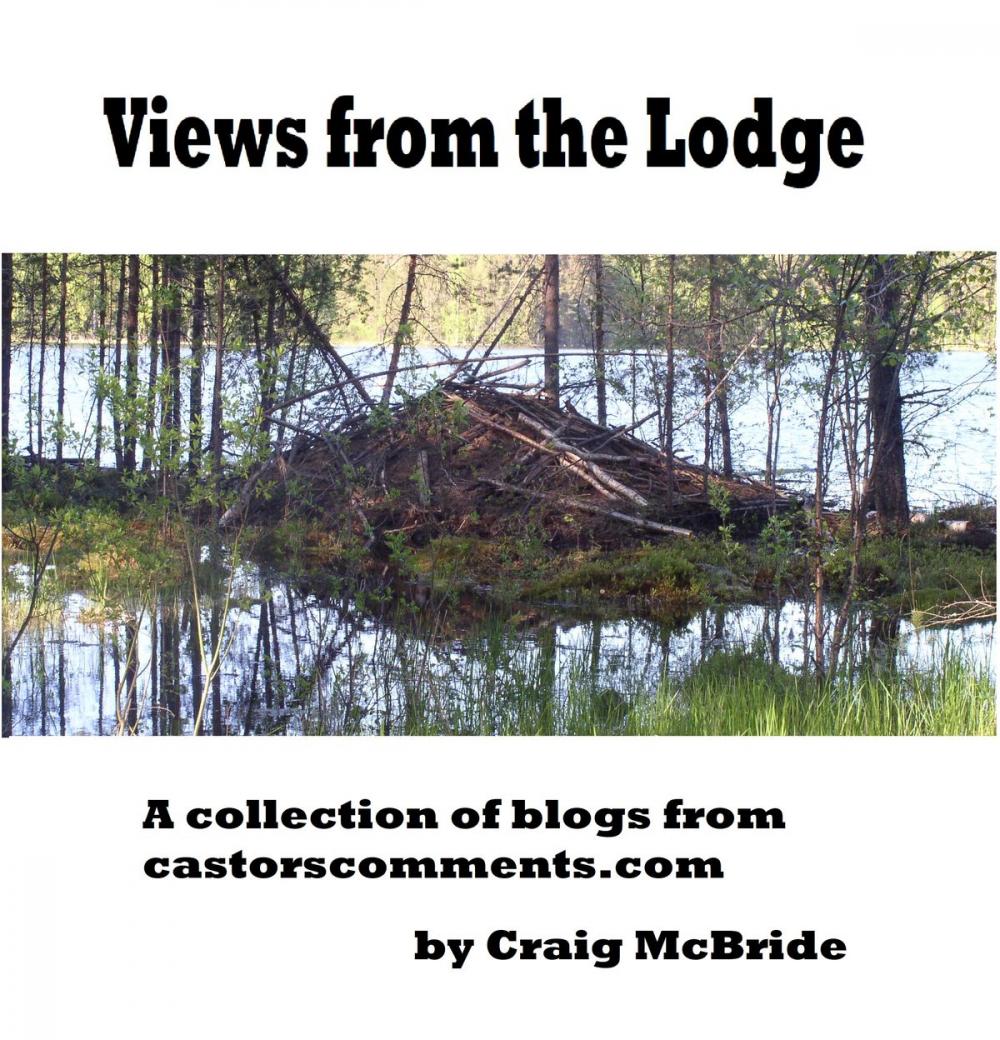 Big bigCover of Views from the Lodge