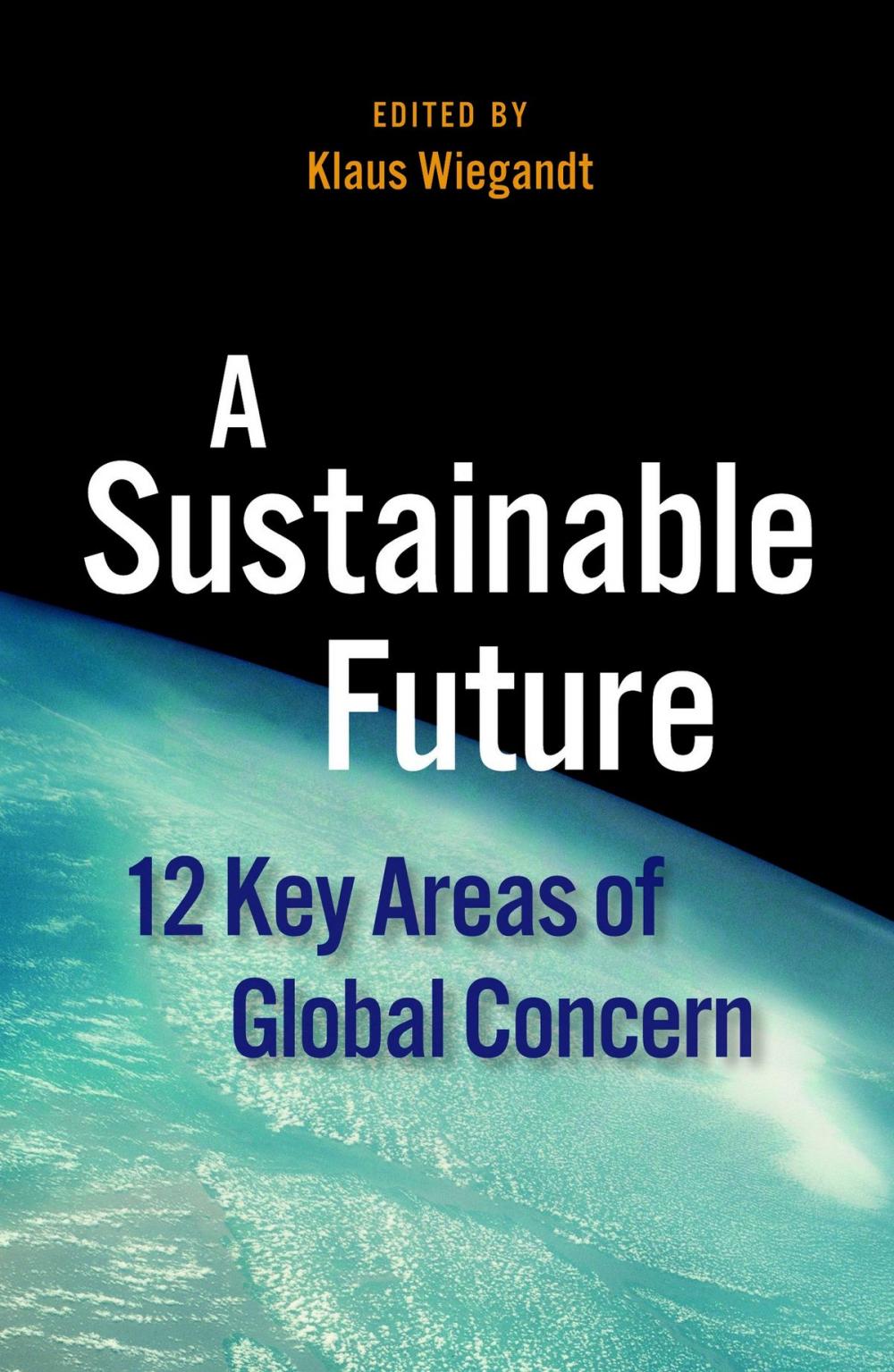 Big bigCover of A Sustainable Future