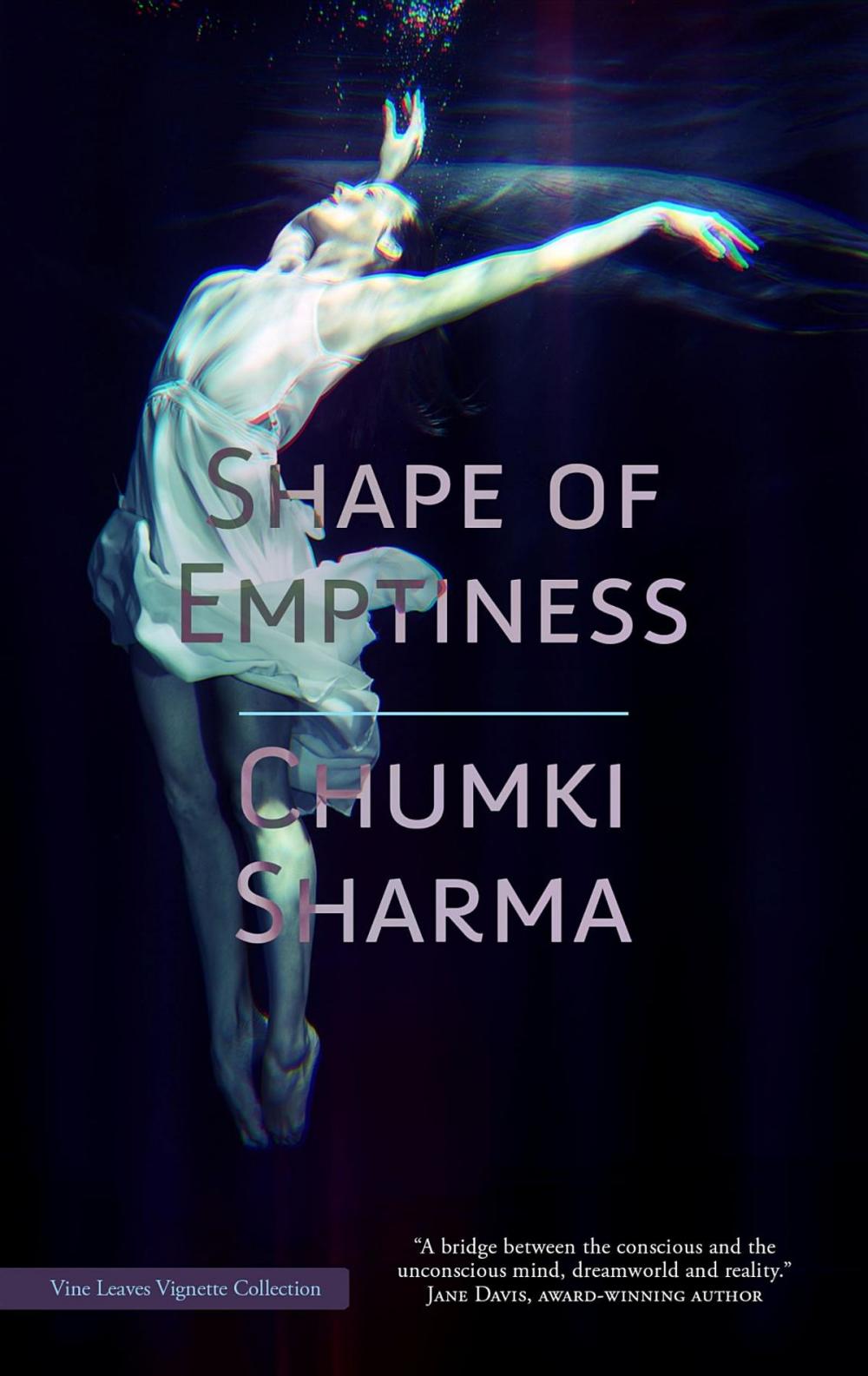 Big bigCover of Shape of Emptiness
