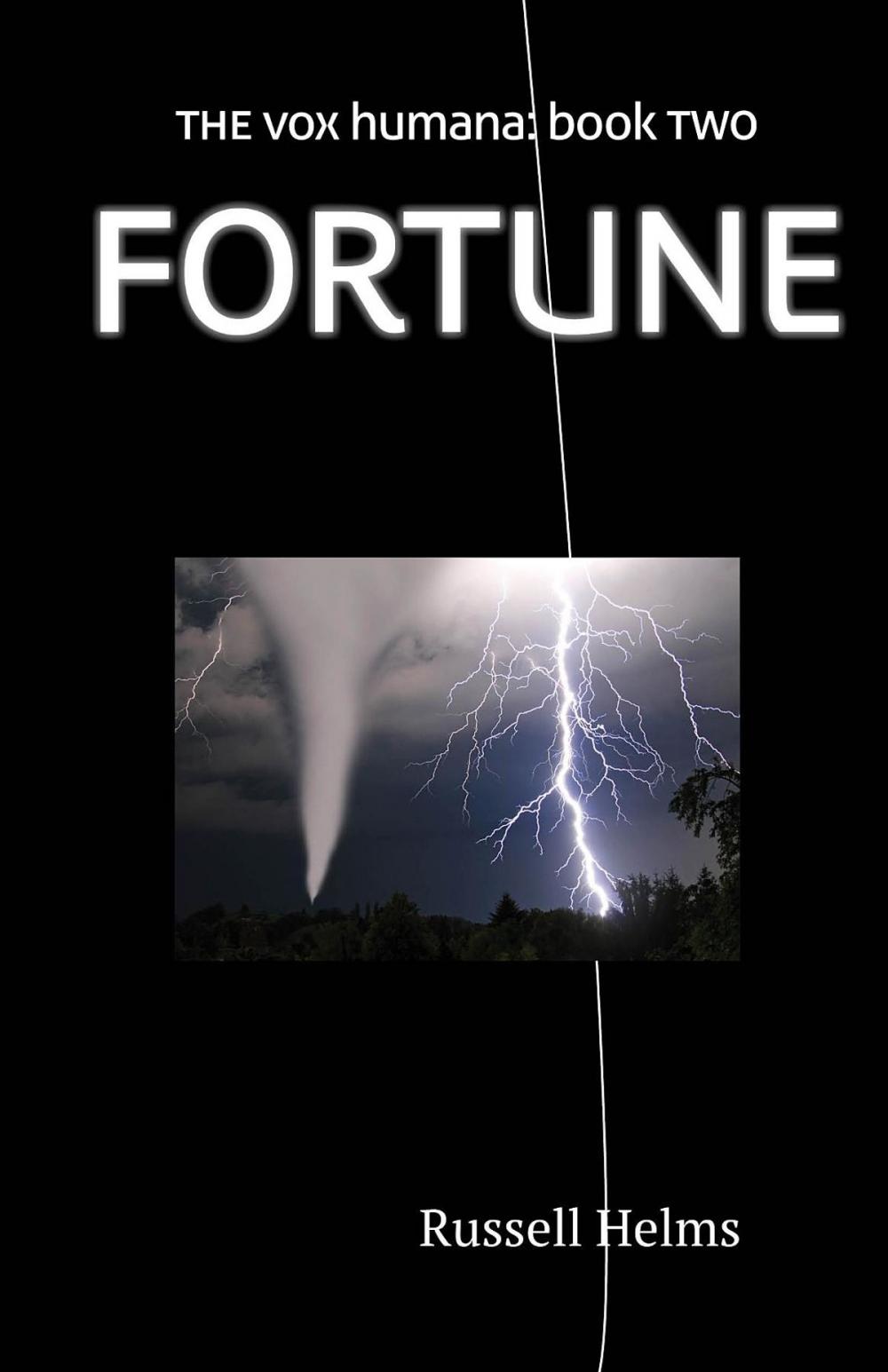 Big bigCover of Fortune
