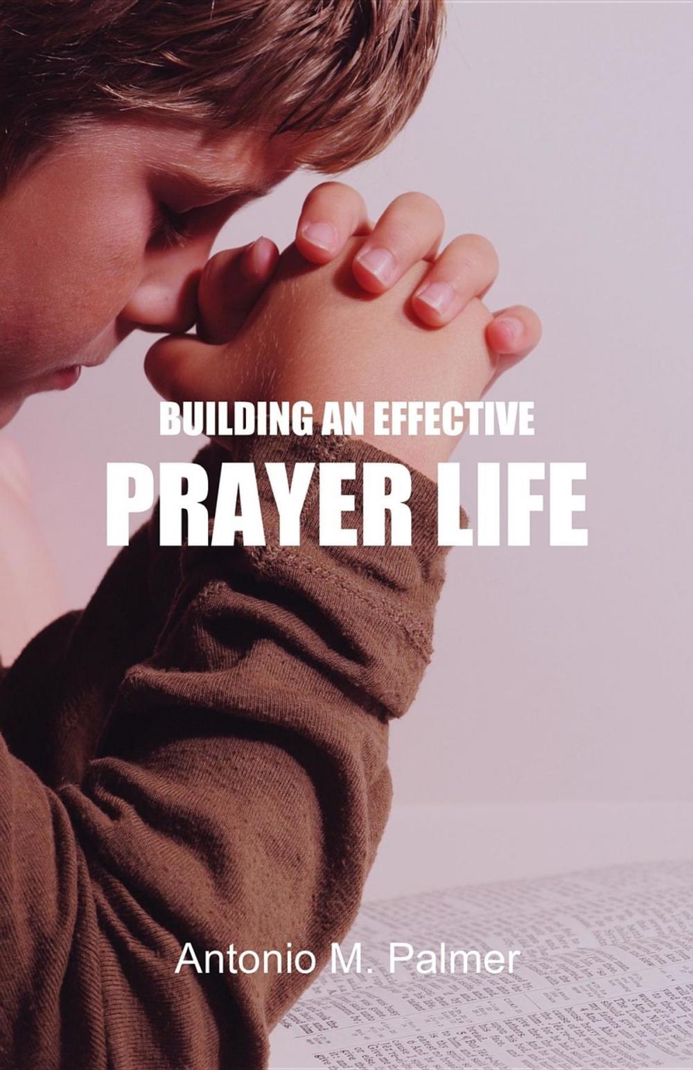 Big bigCover of Building an Effective Prayer Life