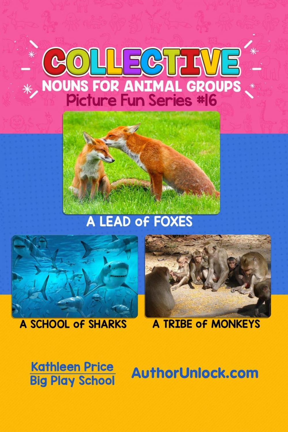 Big bigCover of Collective Nouns for Animal Groups - Picture Fun Series