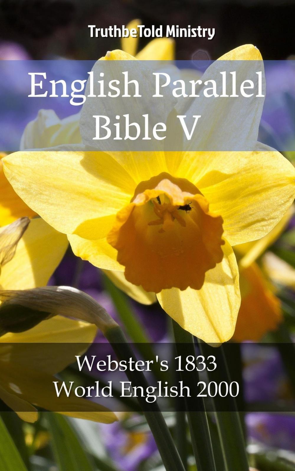 Big bigCover of English Parallel Bible V