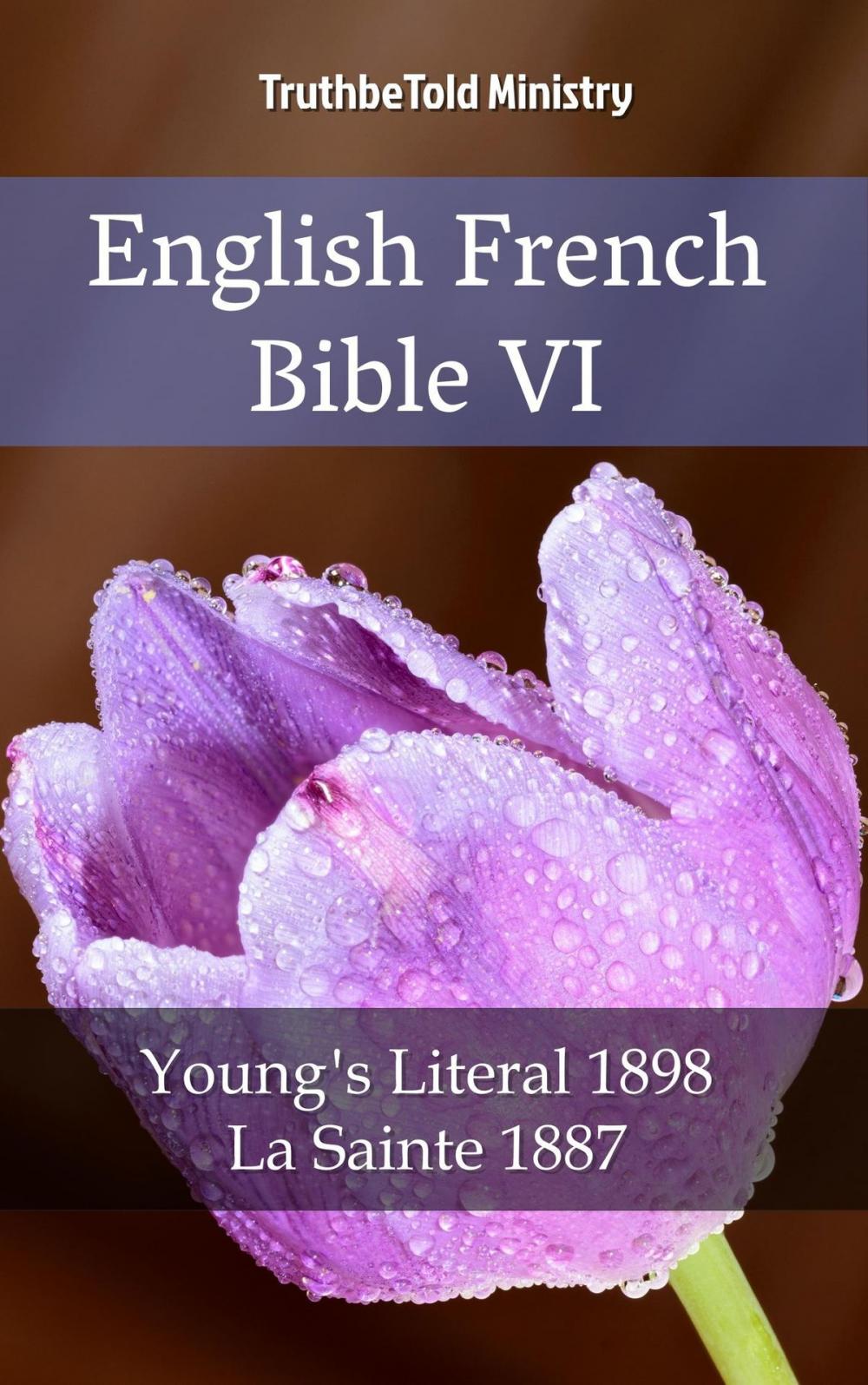 Big bigCover of English French Bible VI