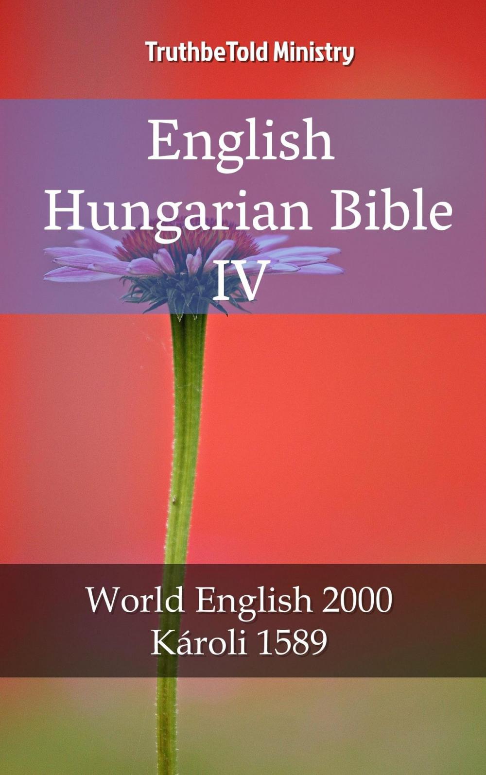 Big bigCover of English Hungarian Bible IV
