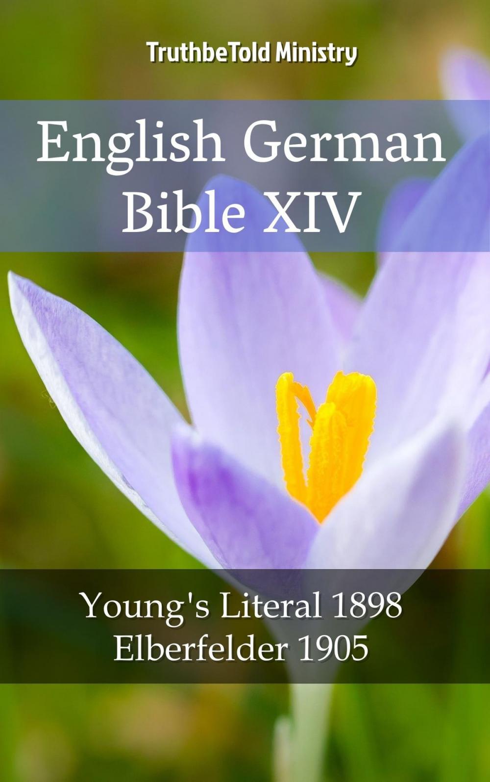 Big bigCover of English German Bible XIV