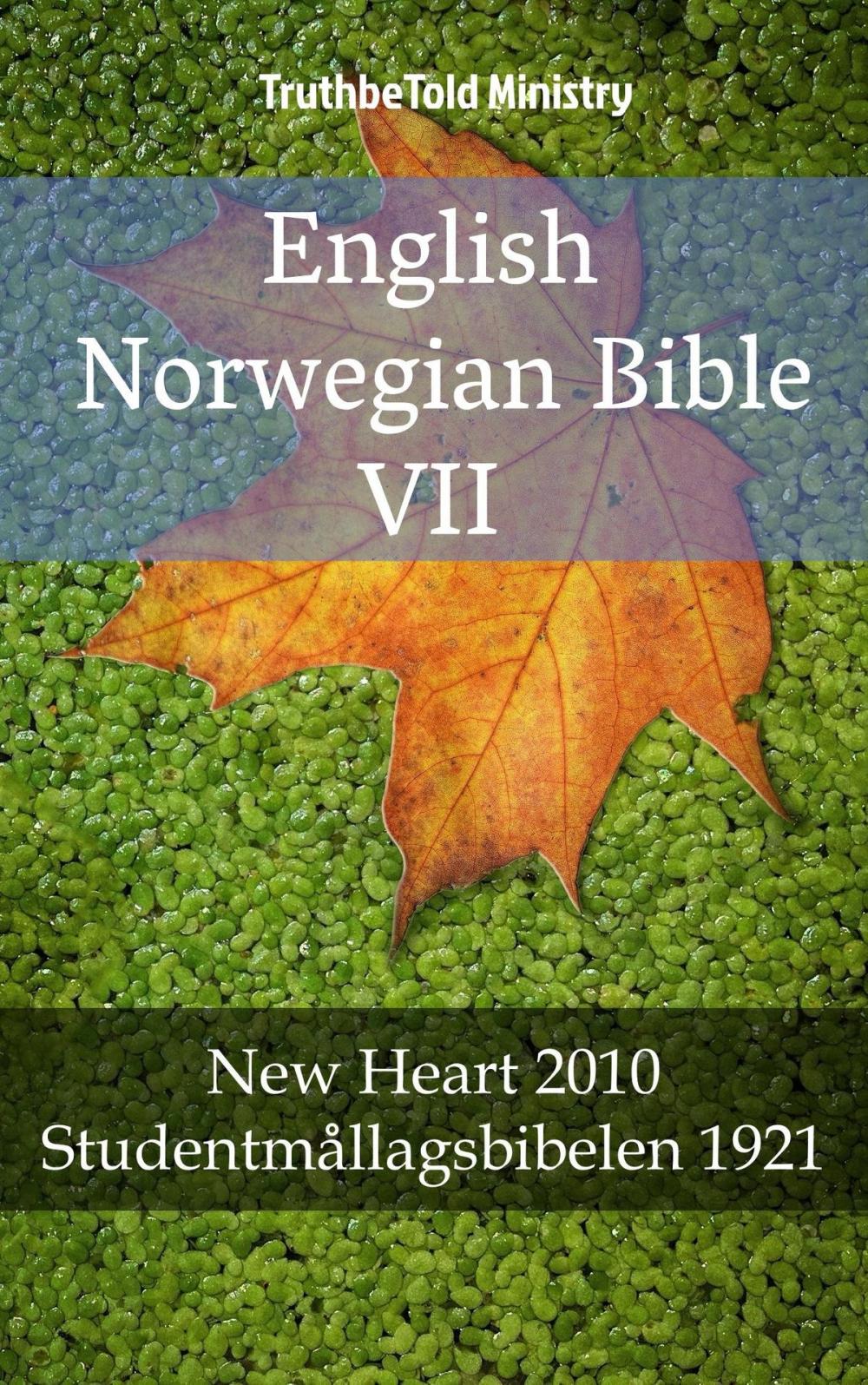 Big bigCover of English Norwegian Bible VII