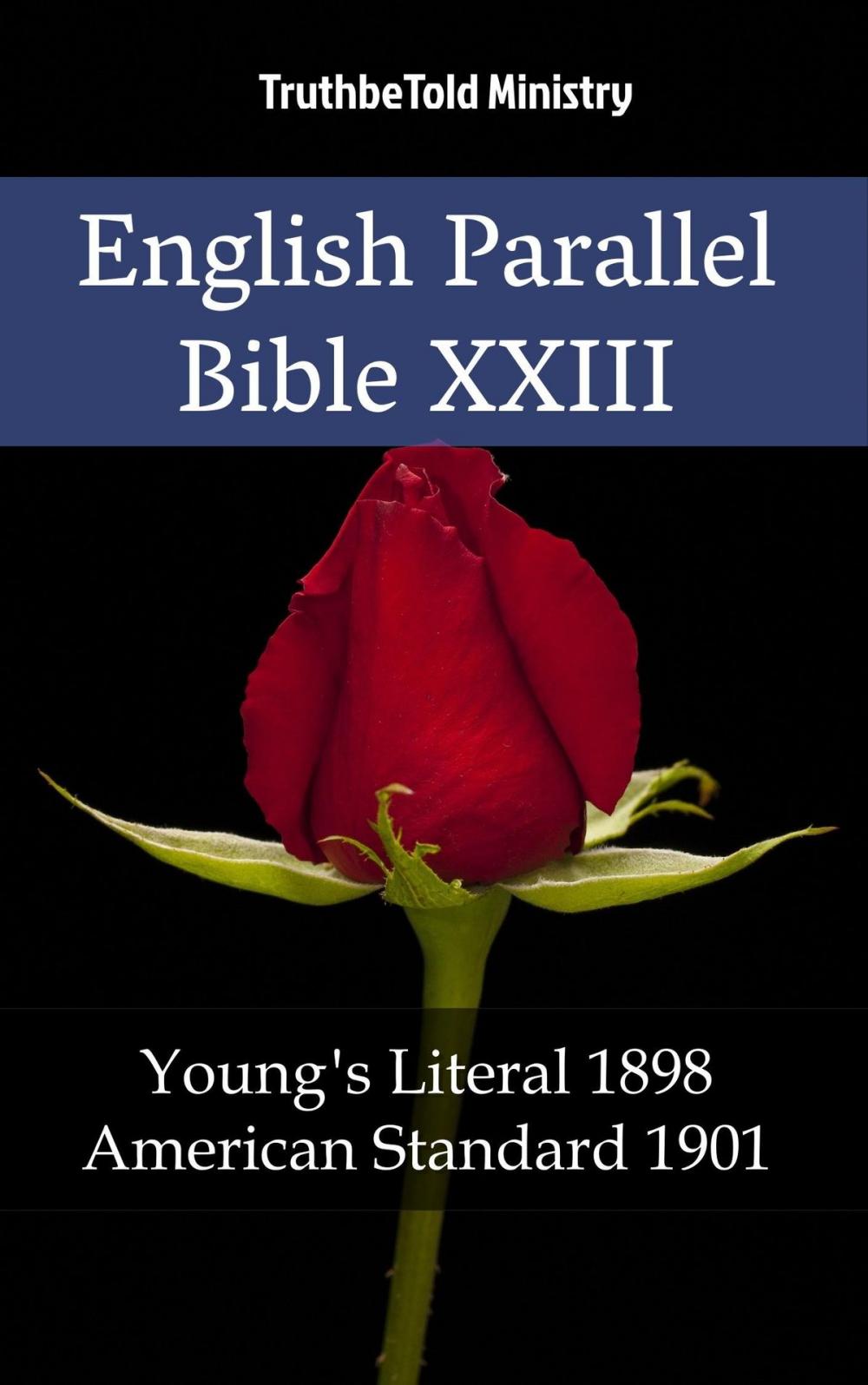 Big bigCover of English Parallel Bible XXIII