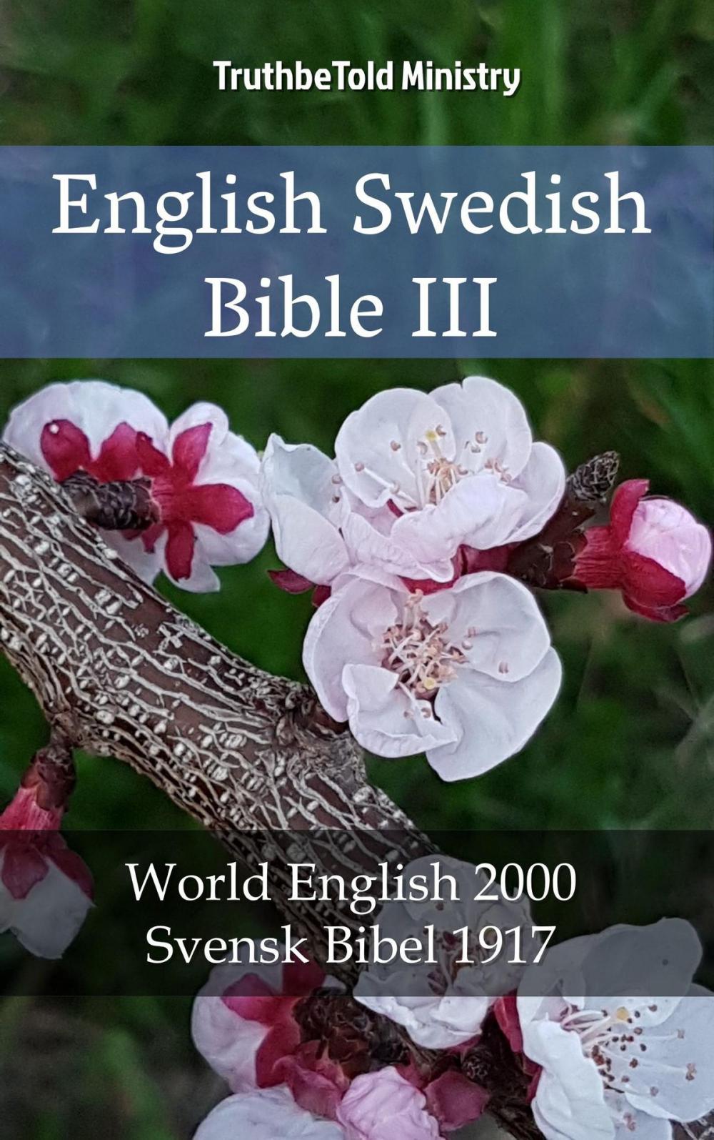 Big bigCover of English Swedish Bible III