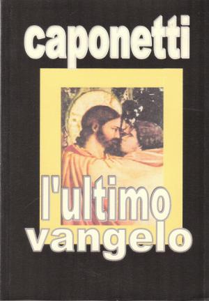 Cover of the book l'ultimo vangelo by Anna L. Walls