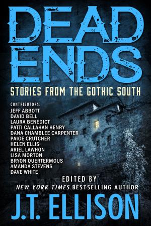 Cover of the book Dead Ends by J.T. Ellison