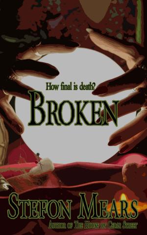 Cover of the book Broken by Poppy Lee Jones