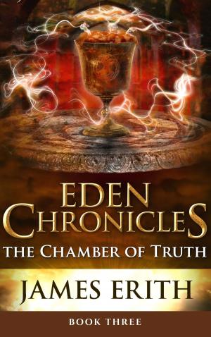 Cover of the book The Chamber of Truth by Kalvin Thane