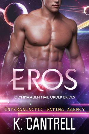 Cover of the book Eros by A. M. Reed