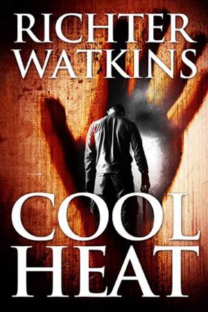 Cover of the book Cool Heat by Stephen Edger