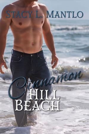 Book cover of Cinnamon Hill Beach