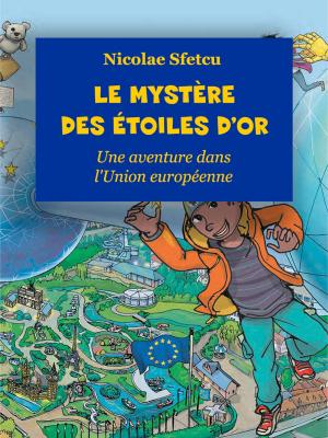 Book cover of Le mystère des étoiles d'or