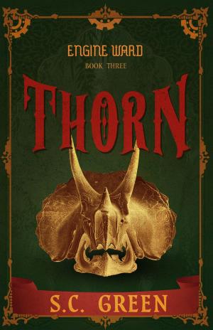 Cover of the book Thorn by Catherine Stine