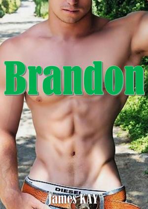 Cover of the book Brandon by Penny Jordan