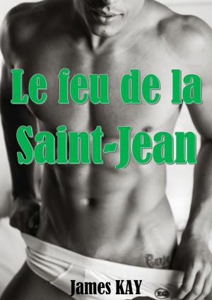 Cover of the book Le feu de la Saint-Jean by Fabienne Dubois