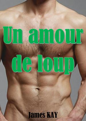 Cover of the book Un amour de loup by Richard Godwin