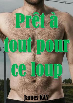 Cover of the book Prêt à tout pour ce loup by James KAY