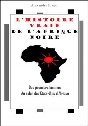 bigCover of the book L'histoire vraie de l'Afrique noire by 
