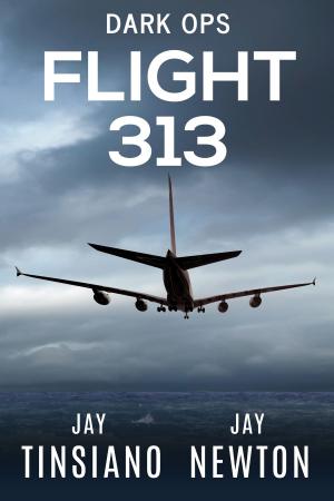 Cover of the book Flight 313 by Phillip Dunn