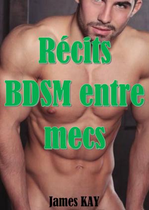 Book cover of Récits BDSM entre mecs