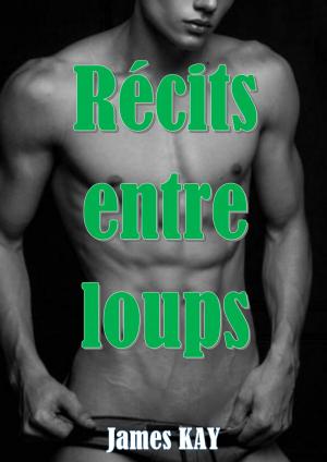 Cover of the book Récits entre loups by James KAY