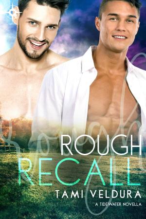 Cover of the book Rough Recall by Diana Morland