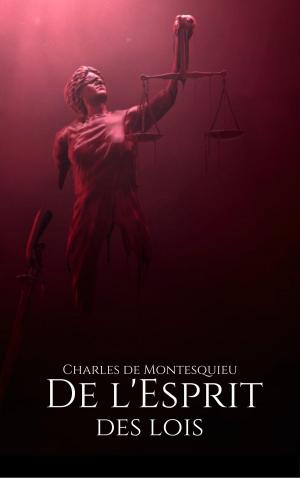 Book cover of De l'Esprit des Lois