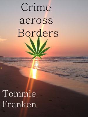 bigCover of the book Crime across Borders by 