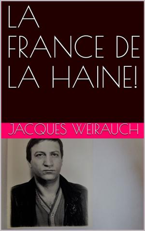 Book cover of LA FRANCE DE LA HAINE