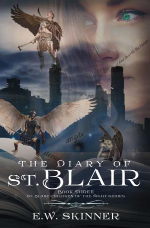 Cover of the book The Diary of St. Blair by Marissa Shrock