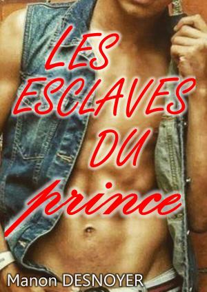 Cover of the book Les esclaves du prince by Manon Desnoyer