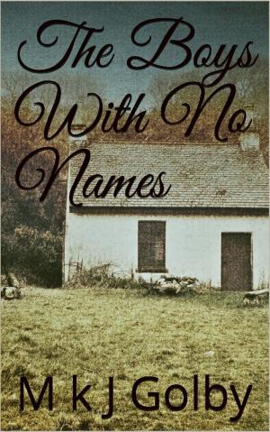 Cover of the book The Boys With No Names by Lydia Clairmont