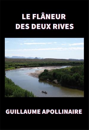 Cover of the book LE FLÂNEUR DES DEUX RIVES by Mathew Paust