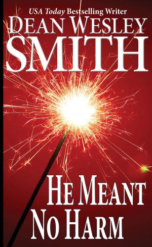 Cover of the book He Meant No Harm by Kris Nelscott