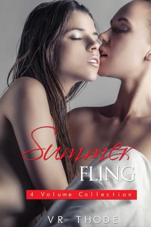 Cover of the book Summer Fling by J. Scott Coatsworth