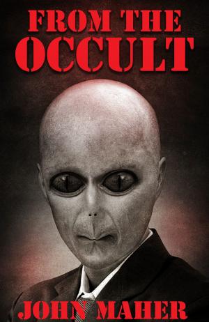 Cover of the book From The Occult by Crystal Mack
