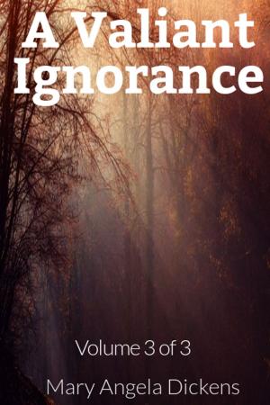 Cover of the book A Valiant Ignorance by G.N.Paradis
