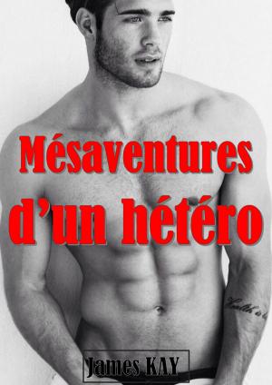 Cover of the book Mésaventures d'un hétéro by James KAY