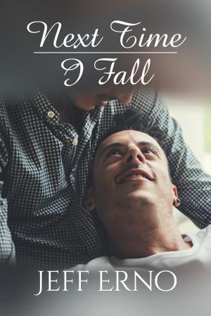 Cover of the book Next Time I Fall by Sedonia Guillone