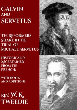 Cover of the book Calvin and Servetus: The Reformers Share in the Trial of Michael Servetus by Abraham Kuyper