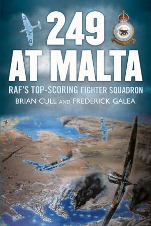 Cover of the book 249 at Malta by David Gledhill