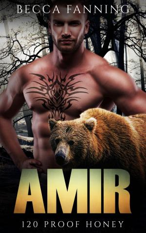 Cover of the book Amir by Cameron Jon Bernhard