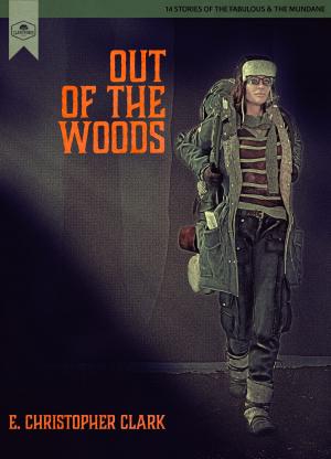 Cover of the book Out of the Woods by Ian Munroe
