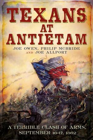 Cover of the book Texans at Antietam by Derek Bridgett