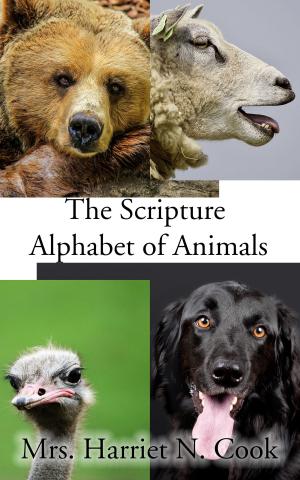 Cover of the book The Scripture Alphabet of Animals by Edward Hoare